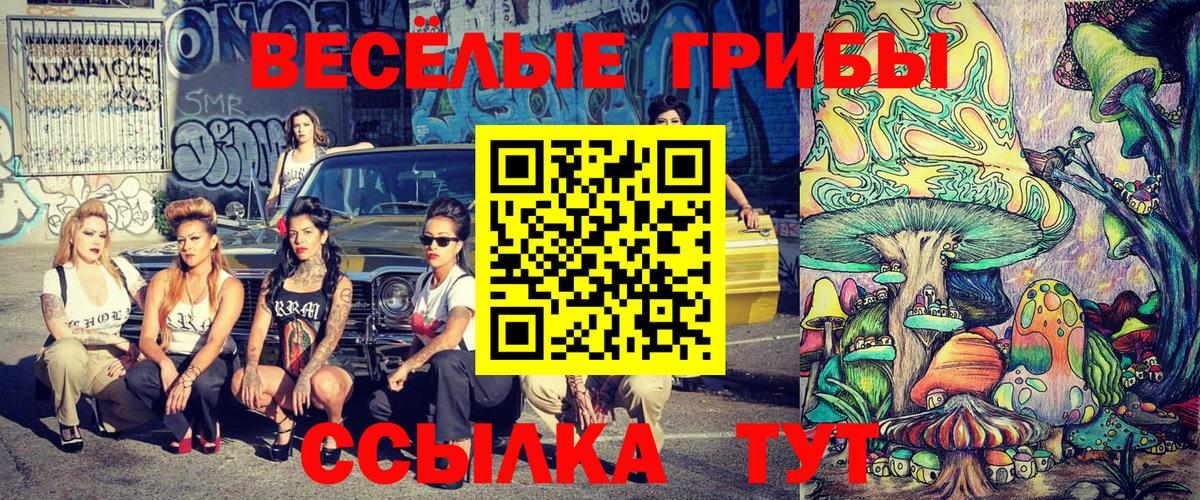 Псилоцибиновые грибы MAGIC MUSHROOMS Химки