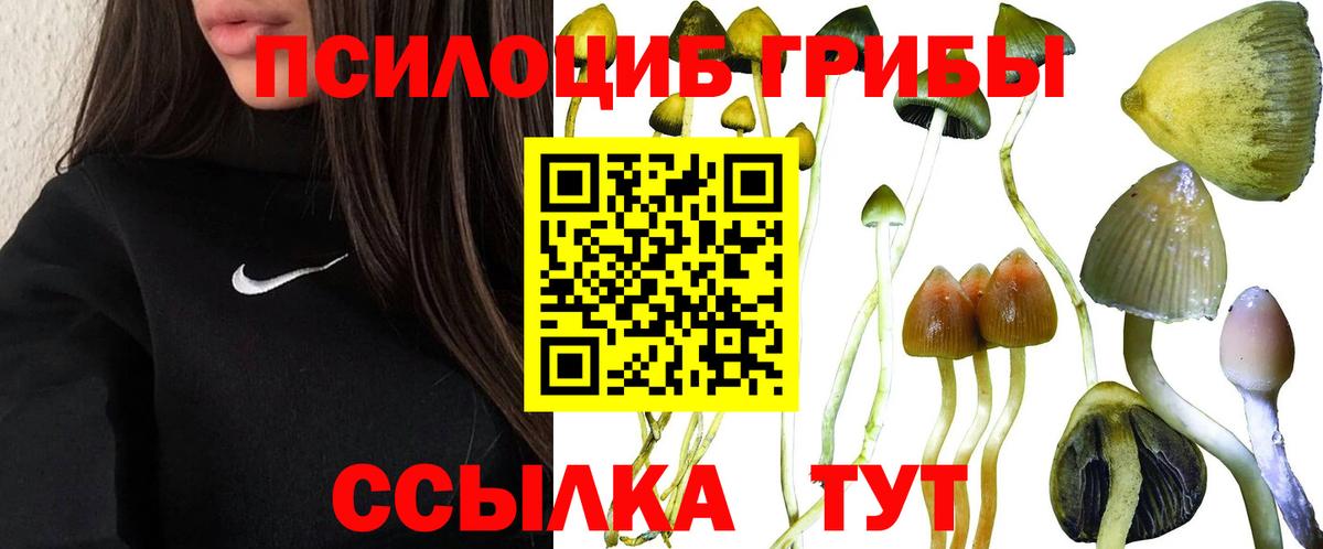 Галлюциногенные грибы Psilocybe  Вход с VPN  Химки 