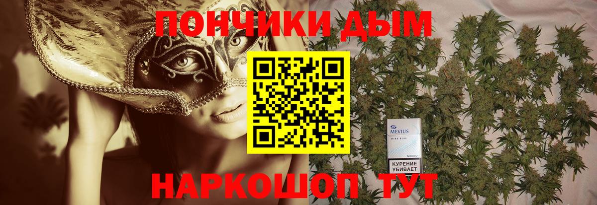 Бошки марихуана план  Вход с VPN  Химки  Канабис SATIVA & INDICA  Шишки марихуана SATIVA & INDICA 